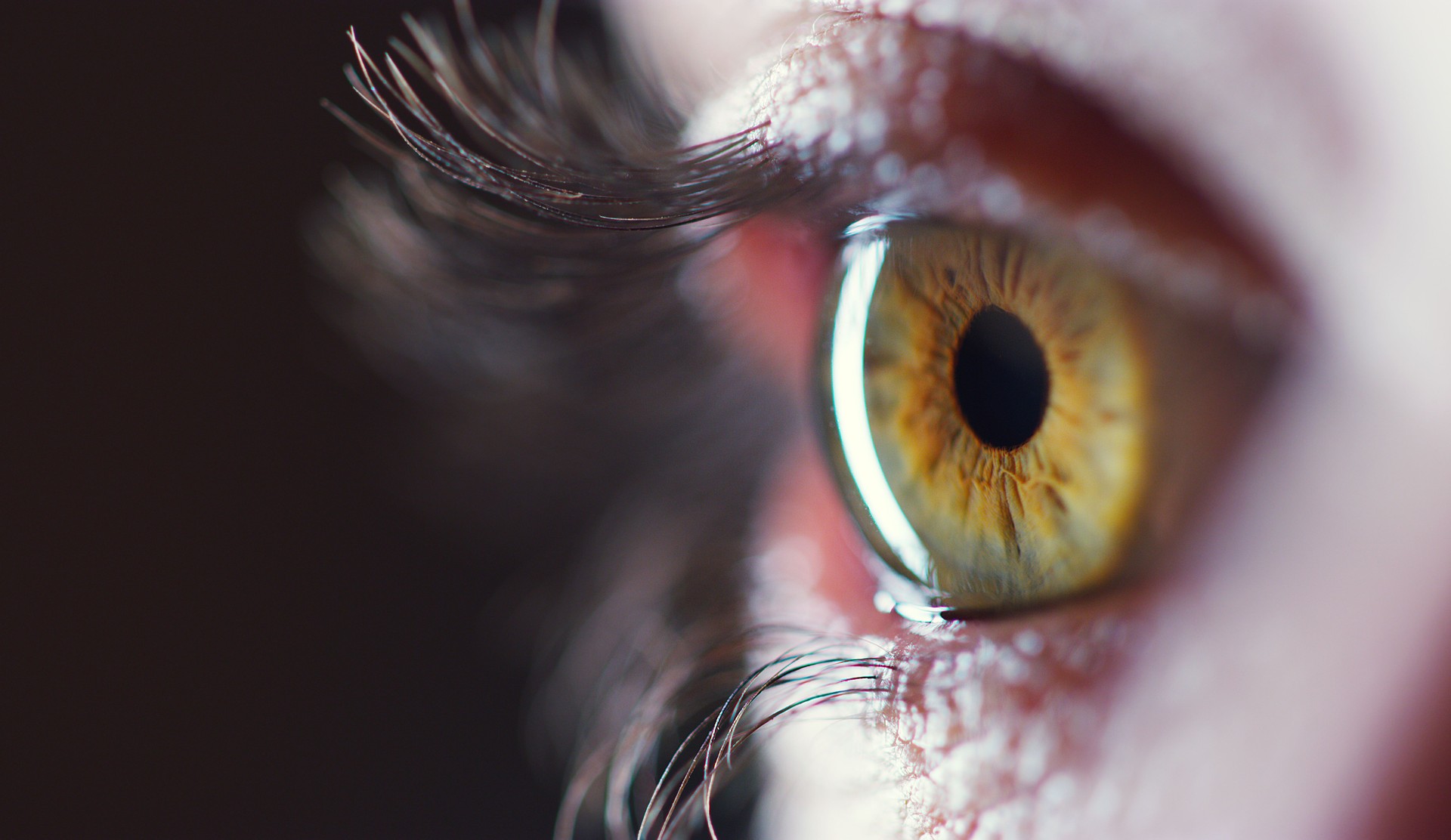 You'll always find the truth in a person's eyes